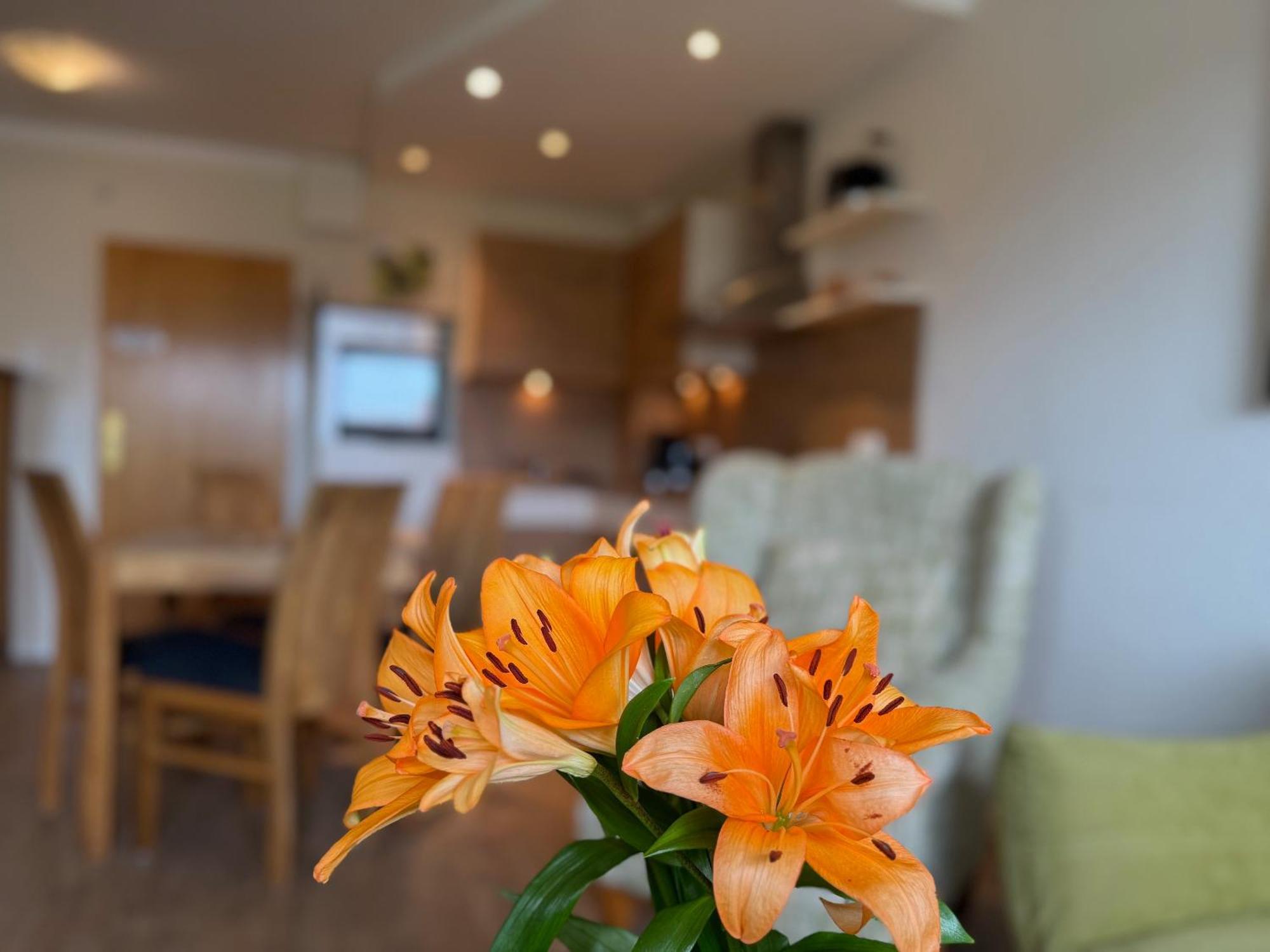 Apartment Im Haus Nordland Nordland, App 38